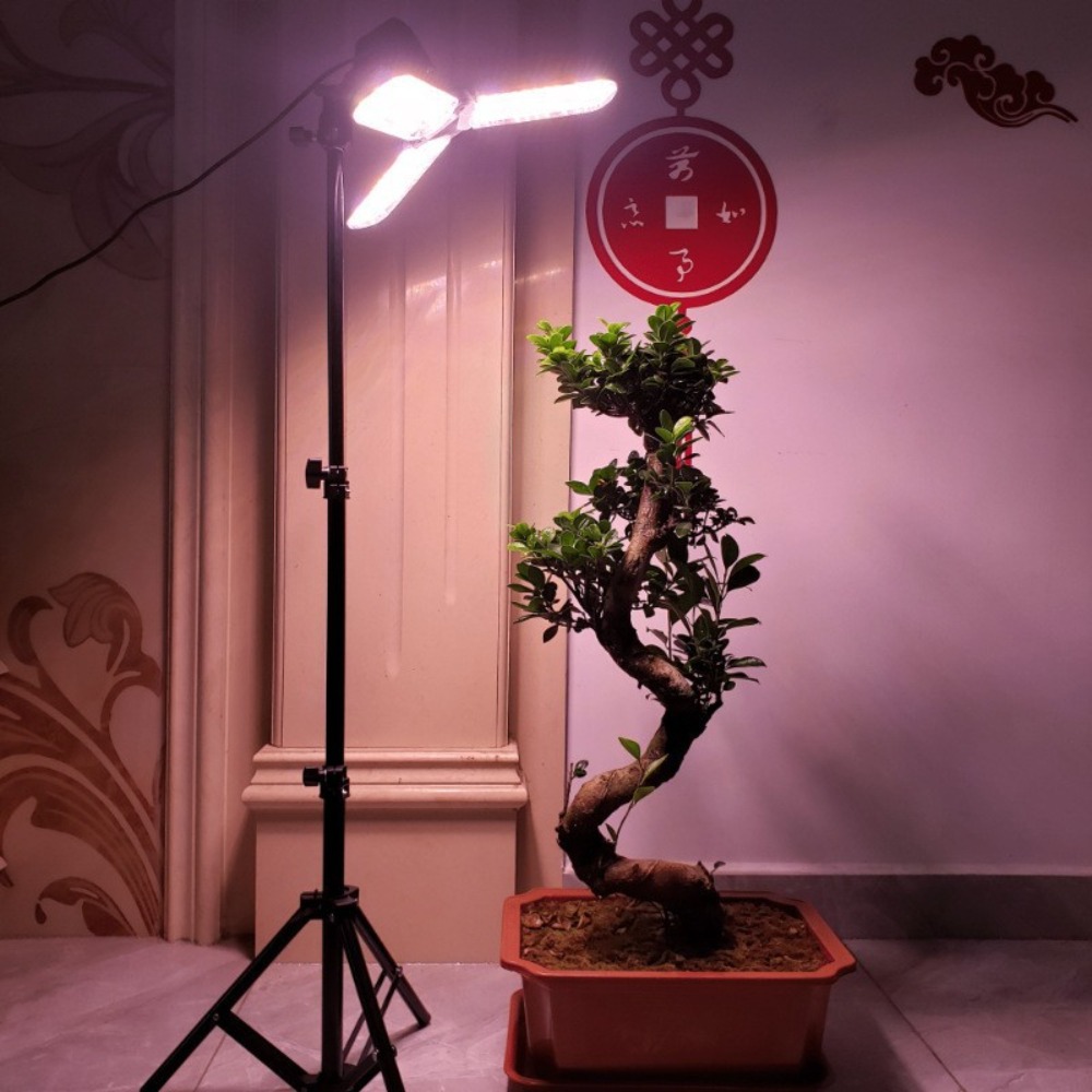 Glühbirnenständer 2M, E27 AC-S – Photography Umbrella Lights Bewertung und Preis